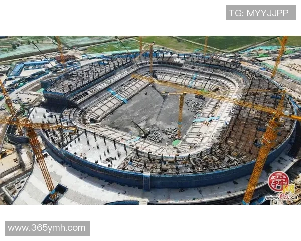 国内专业足球场建设现状与未来发展趋势分析